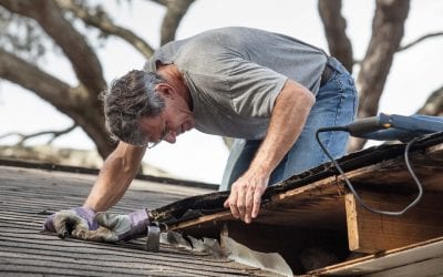 Is it Time for a Roof Replacement? 7 Warning Signs