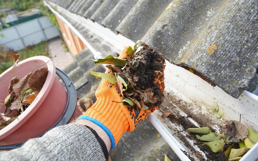 Gutter Cleaning During Fall: Don’t Neglect This Task